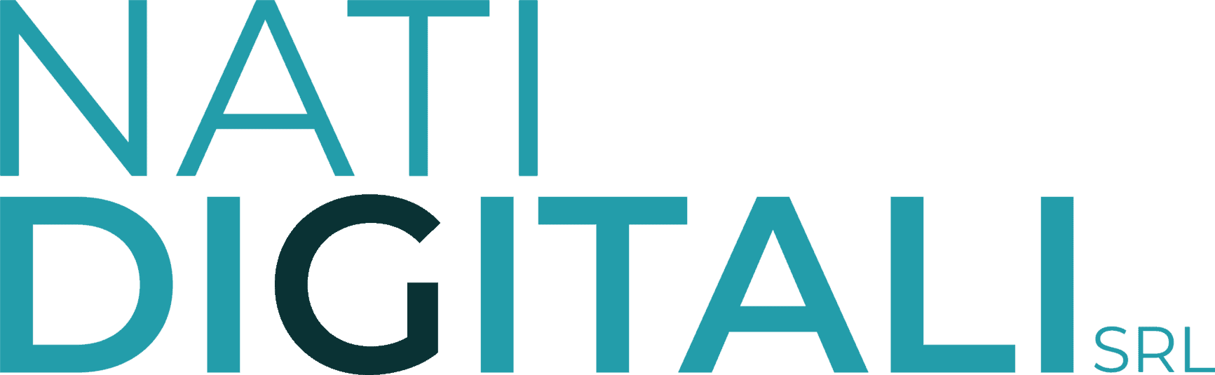 LOGOTYPE_NATIDIGITALISRL